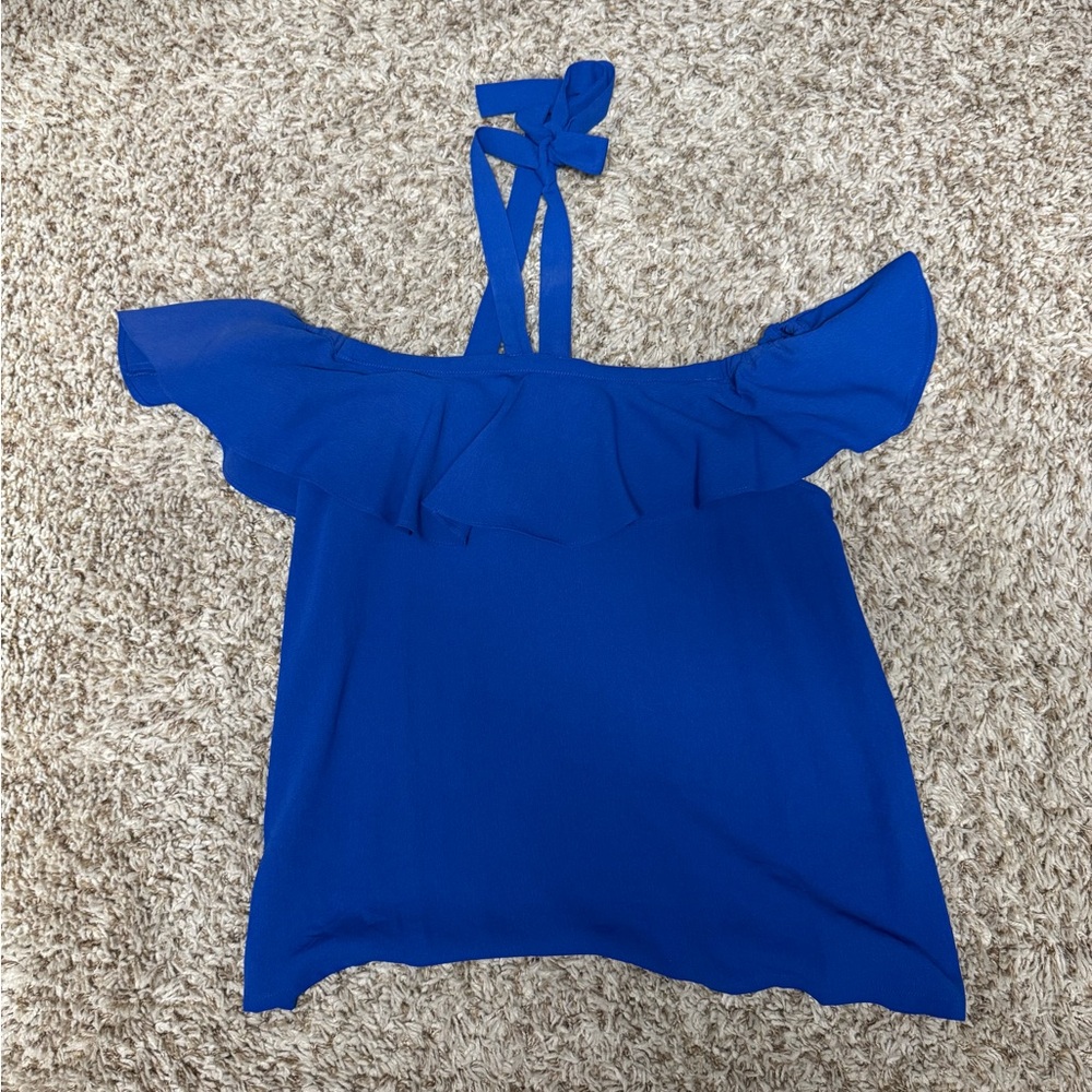 Blue Flutter Sleeve Ruffled Blouse with Tie Front